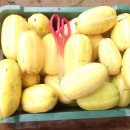 여름농장 이미지