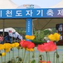 미플러스 이미지