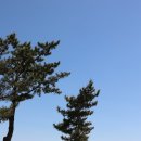 토성농협주유소 이미지