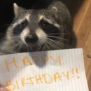 생일케이크 / 호주에서 맞는 생일/ 발모랄비치/ 시드니 파인다이닝/ 시드니 제트보트/ 폴란드식당]