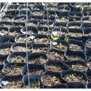 장재농장 이미지