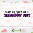 피터팬
