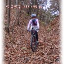 보산정 | (46선 양평 남부권과 여주 북부권 XC/옛 고갯길 따라 이백 리) 2부 : 낯빛 바꾸는 옛 고갯길과 한터마을