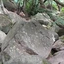 숙이목장 이미지