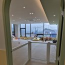 꼬순내유치원 | 꼬순내 반상회 - 용인 남사 반려견유치원