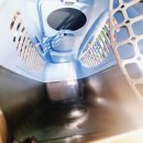 럭키켄넬 이미지