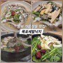 목포세발낙지 - 마포구 마포대로12길 21 | 창원 가음정동 몸보신 맛집, 목포세발낙지 전복낙삼탕 후기