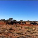 상승농장2 이미지