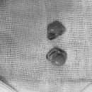 모라동물병원 이미지