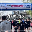 구로-고척-구로-2027 | 2025년 제14회 양천마라톤, 5km(개인, 건강코스) 참여 후기