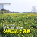 산동교 친수공원 축구장 | 광주 북구 봄꽃 나들이 명소, 산동교친수공원