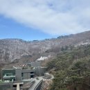 [충북/제천] 제천 레스트리리솜S30/해브나인웰니스스파/마묵라운지/둥지치킨/모요우)