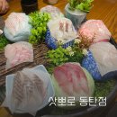 동탄푸른어린이집 | 동탄 삿뽀로 방문기 남편이랑 오붓하게 즐긴 프리미엄 코스요리 데이트, 예약 꿀팁까지!