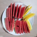 준호농장 | 전남 함평 놀거리 애플 수박 농장 체험 후기