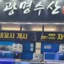다성영상 | 놀란 '광명수산 수원역점' 도다리회 세꼬시 솔직 후기! (수원횟집 · 팔달구맛집 · 팔달구횟집 · 수원...