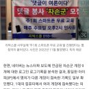 [단독] 대선 직전 ‘리박스쿨’ 댓글 조작 정황 네이버에 포착 이미지