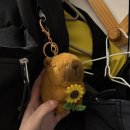 그린카파 이미지