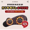 수능 보느라 고생 많았어욥 1113 캐시워크 정답 이미지