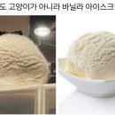 너 아이스크림이야 고양이야?! 이미지