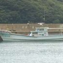 요라나 이미지
