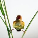 팔이합성 이미지