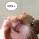 찰리네 | 울산 남구 속눈썹펌 잘하는 곳 찰리브로우, 클리닉영양펌 후기