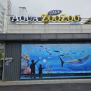 아쿠아카페(AQUA CAFE) | 전주 평화동 실내데이트 아이랑 가볼만한곳 아쿠아주주카페 AQUA ZooZoo CAFE 전주 동물카페 추천
