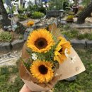 찾았다 자주가고싶은 충주꽃집/충주 칠금동 프리스토리플라워 추천 후기/6월 해바라기 꽃다발