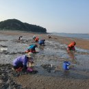 세어도어촌체험휴양마을 이미지