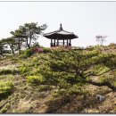 신안사 이미지