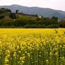 중년과새싹 이미지