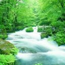 오행생식원 - 청주시 서원구 사직대로 263 | 오행생식원