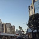 수원-0844 | 남큐슈 여행 3일차 - 가고시마현 (사쿠라지마, 시로야마)