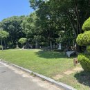 창진산장휴게소 이미지