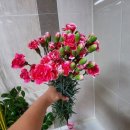 영림원예