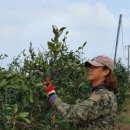 신영농장 이미지