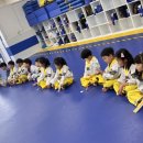 금강태권도 파워점핑 이미지