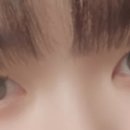 더마인뷰티 이미지