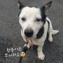 한용 이미지