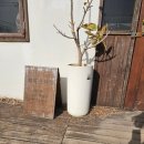 제주온인 | 협재해수욕장 근처 맛집 제주 협재온다정 솔직후기