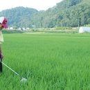 달림농장 이미지