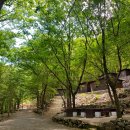 양산 원동자연휴양림 캠핑장 이용 후기 (초보캠핑러, 2박 3일)