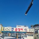 송정꼬리치는산곰장어 | 부산 송정해수욕장 꼬리치는 산곰장어