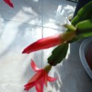 자연의 순환 이미지