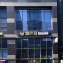 와일드캣 브루잉(WILD CAT BREWING) 네이버블로그