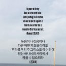에클레시아 이미지