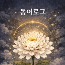 호상 | [공지] 상례 직분//장례식 역할(현대적인 해석)