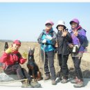 석모도바람길 이미지