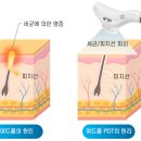 샤인톡스의원 이미지