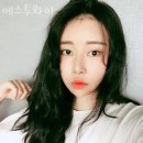 에스투와이